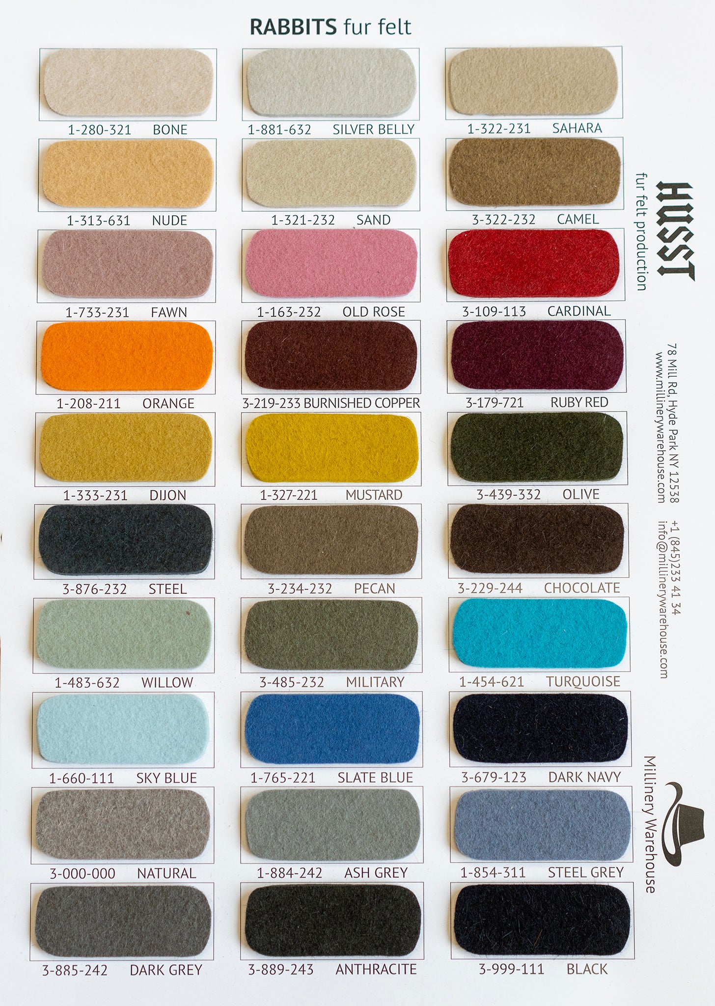 COLOR CARD