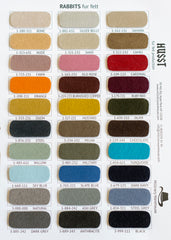 COLOR CARD